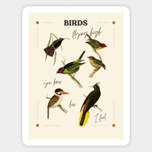 Birds Magnet